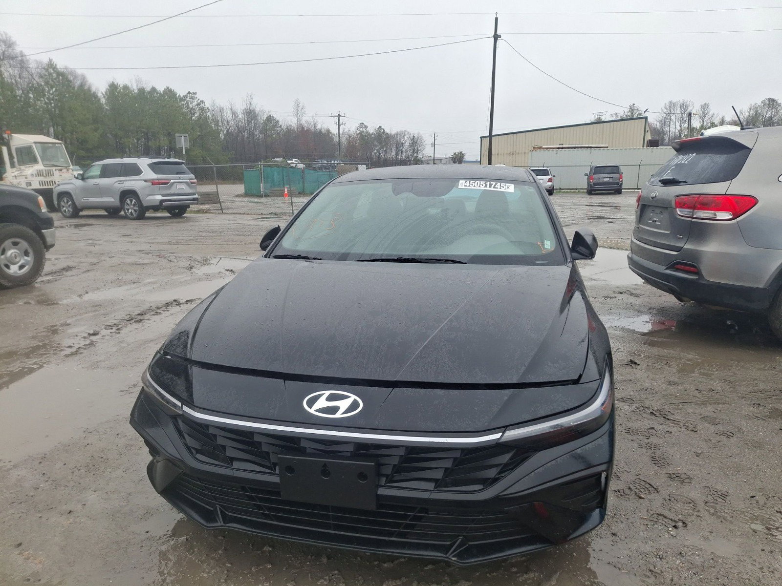 45051745