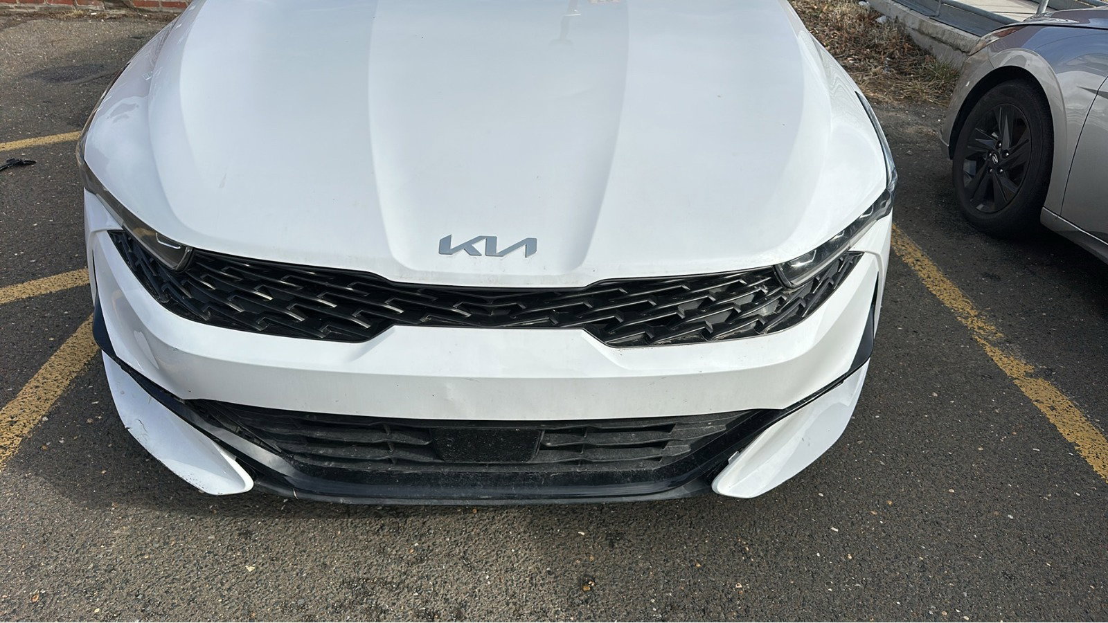 41491085