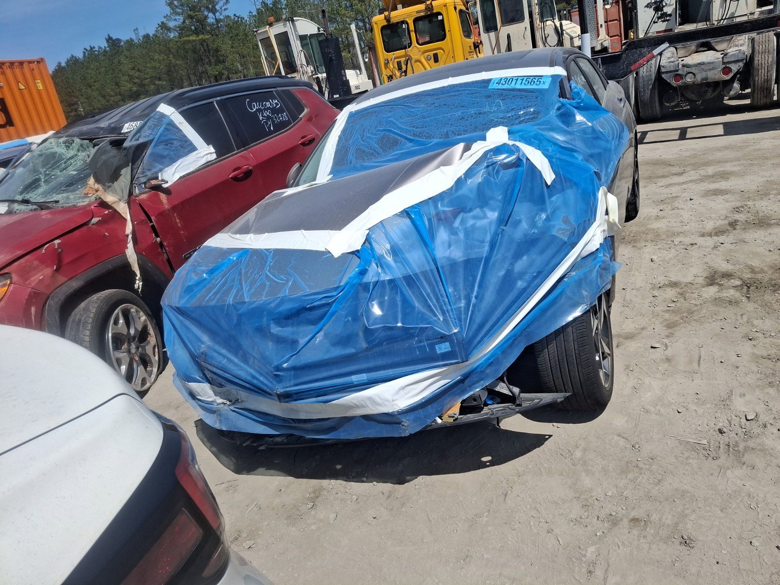 43011565