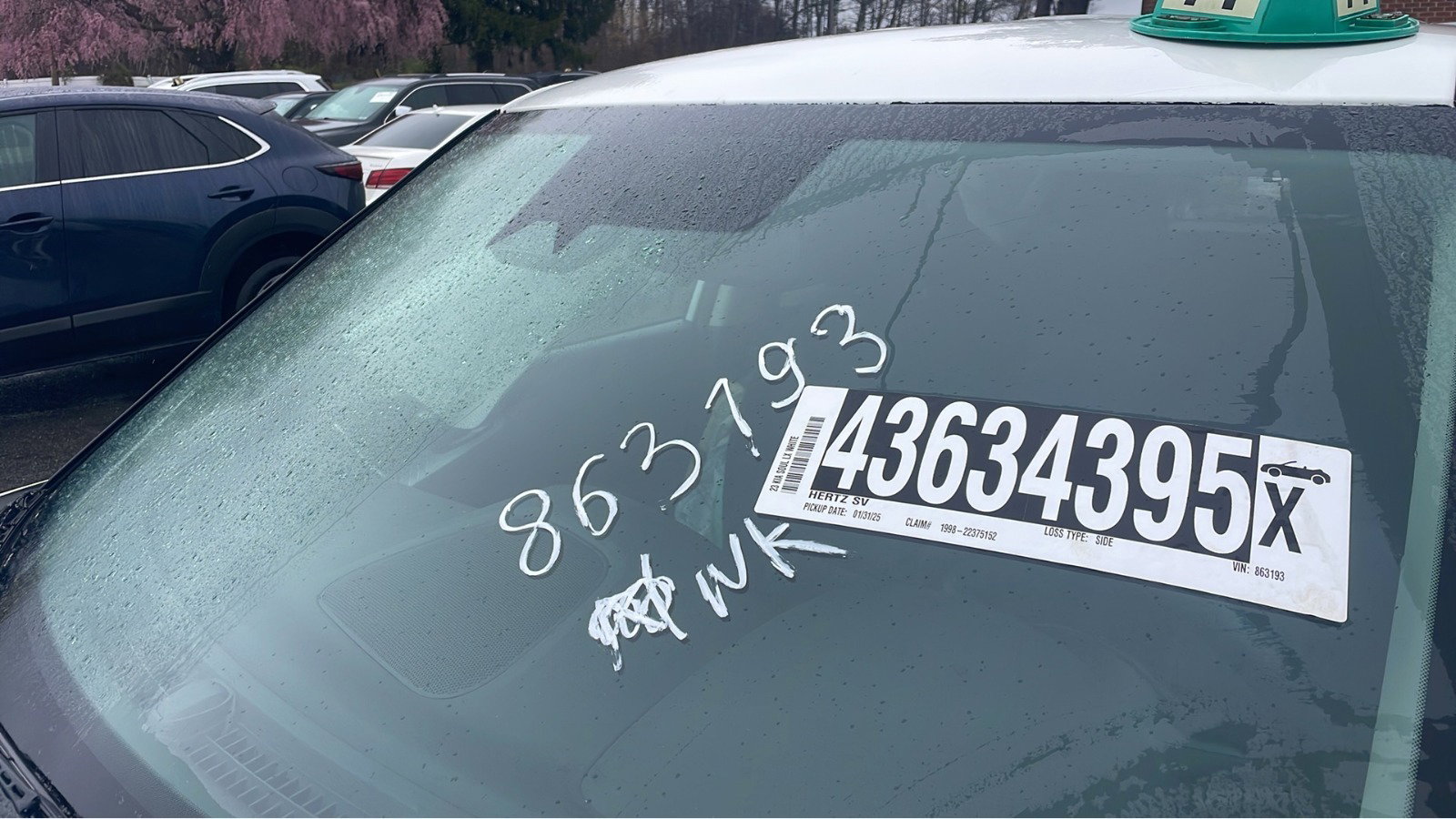 43634395