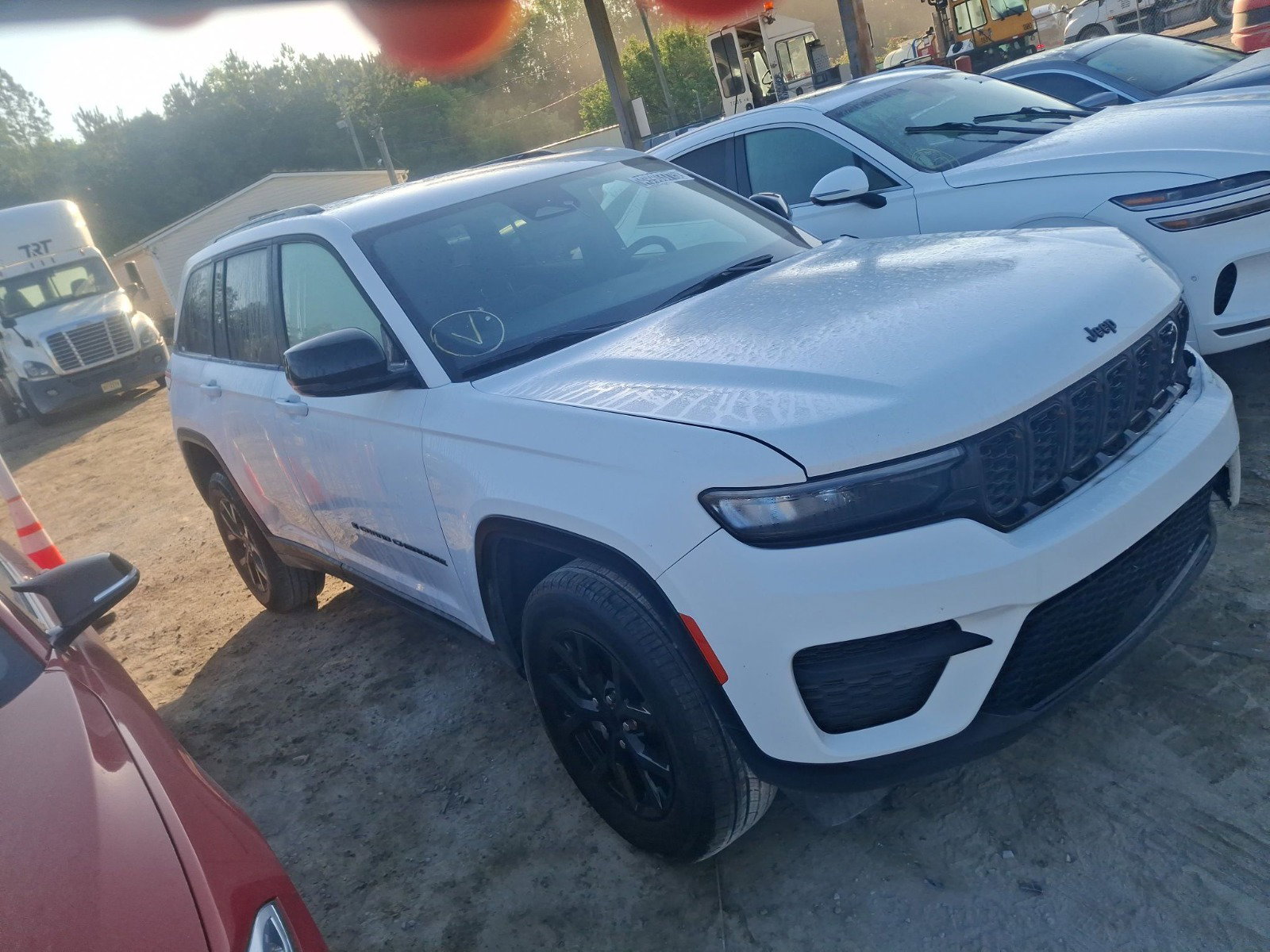 49903715