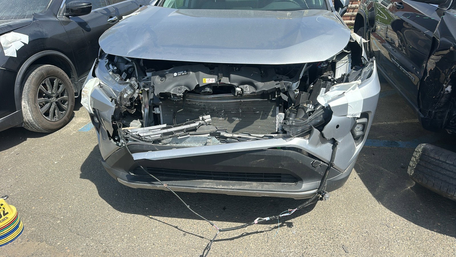45173045