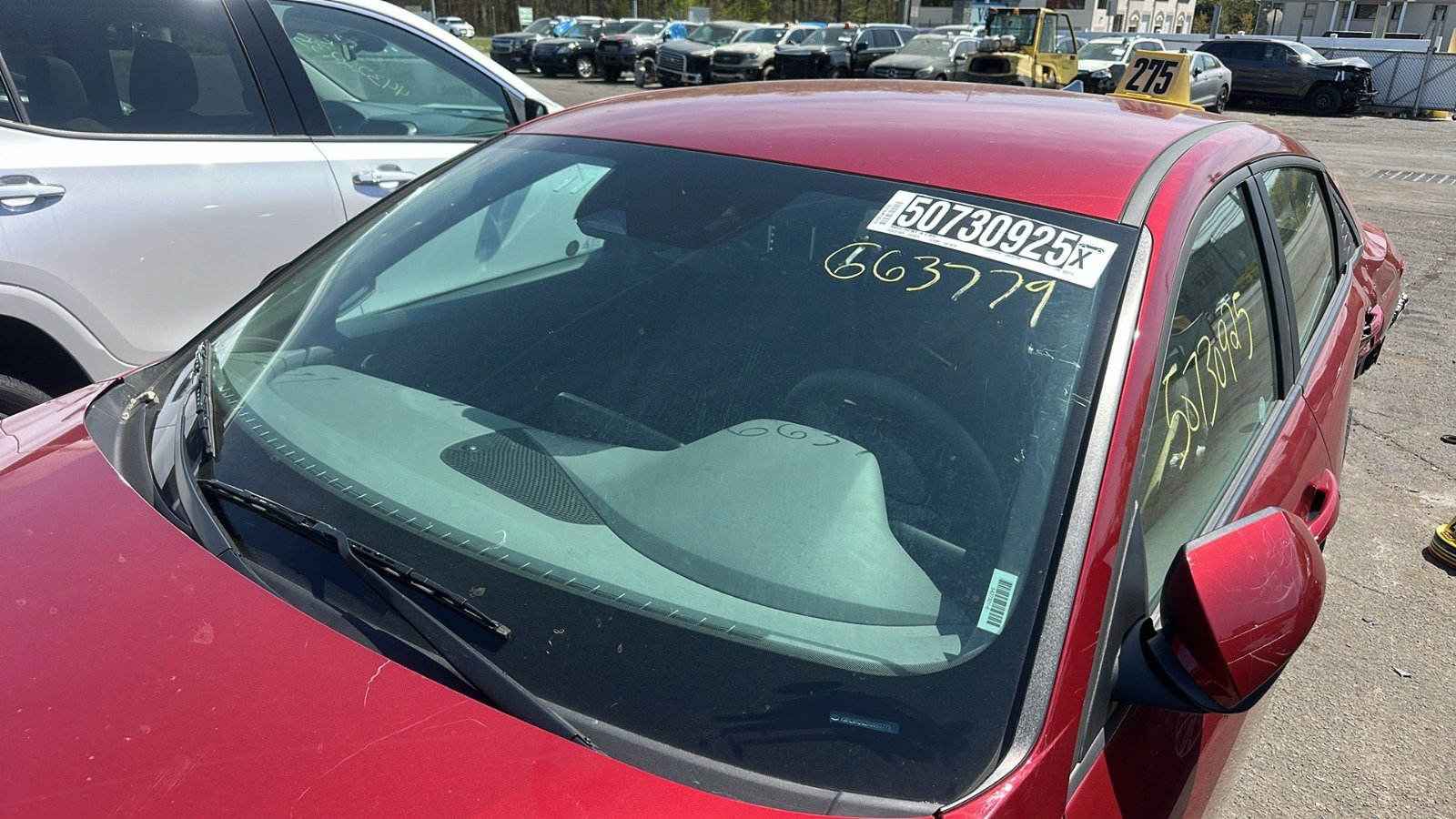 50730925