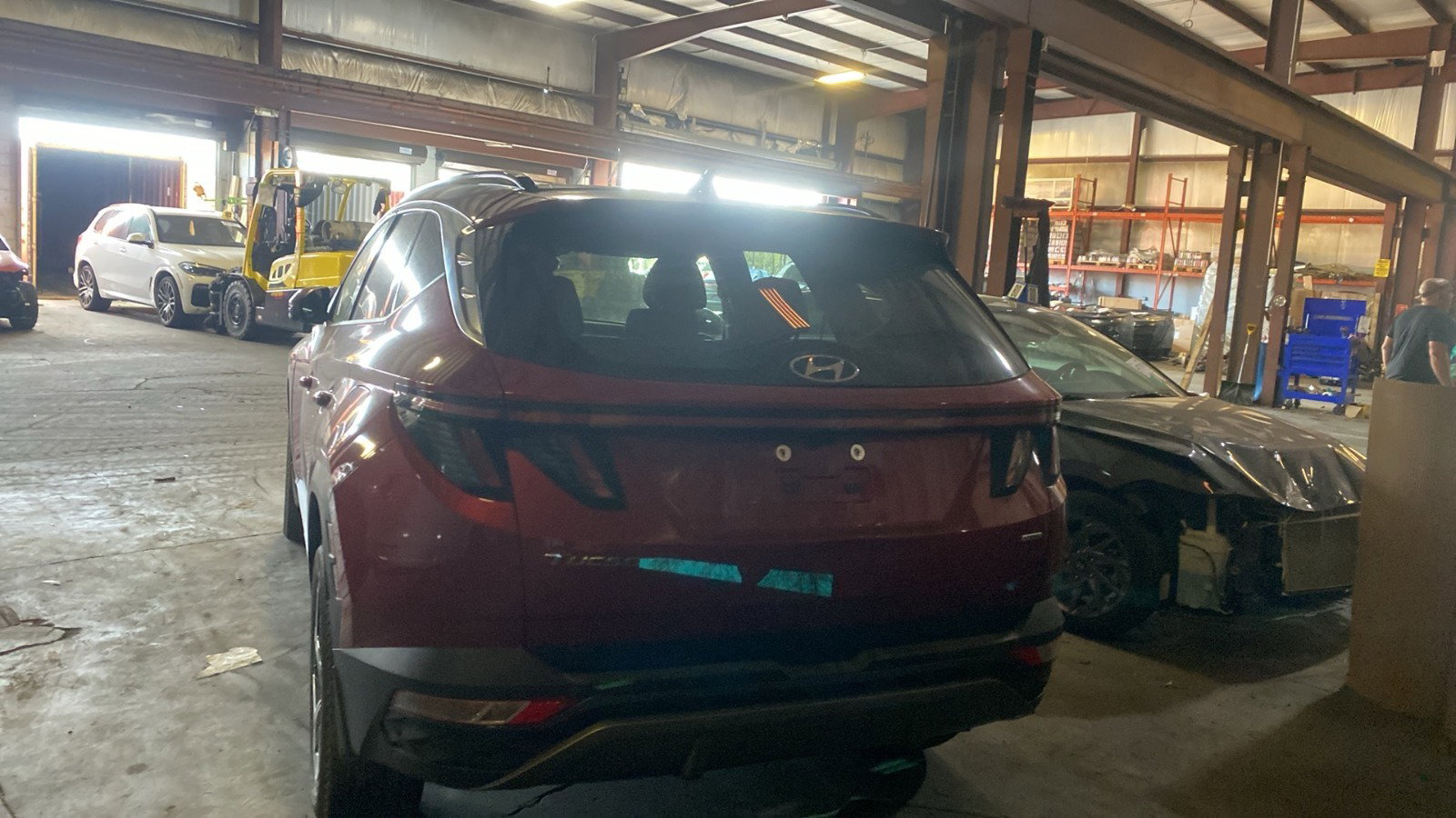 81239884