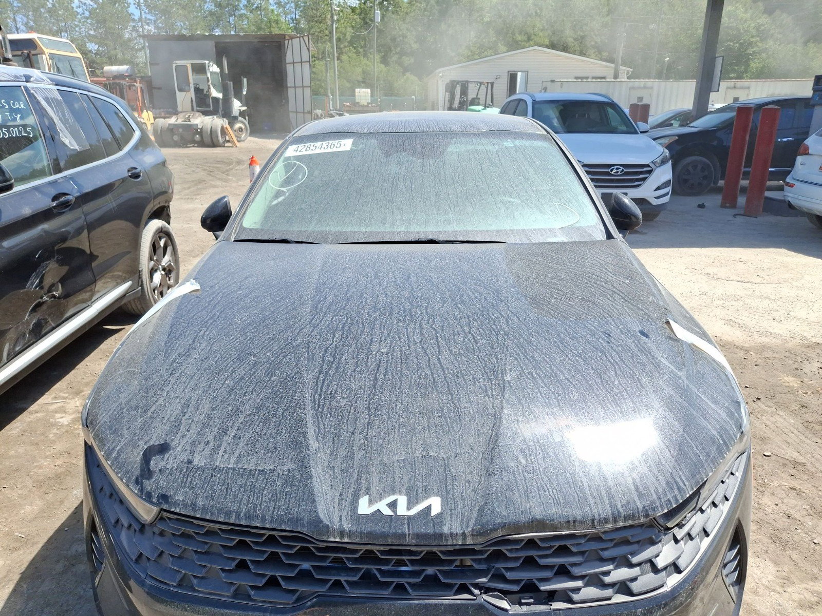 42854365