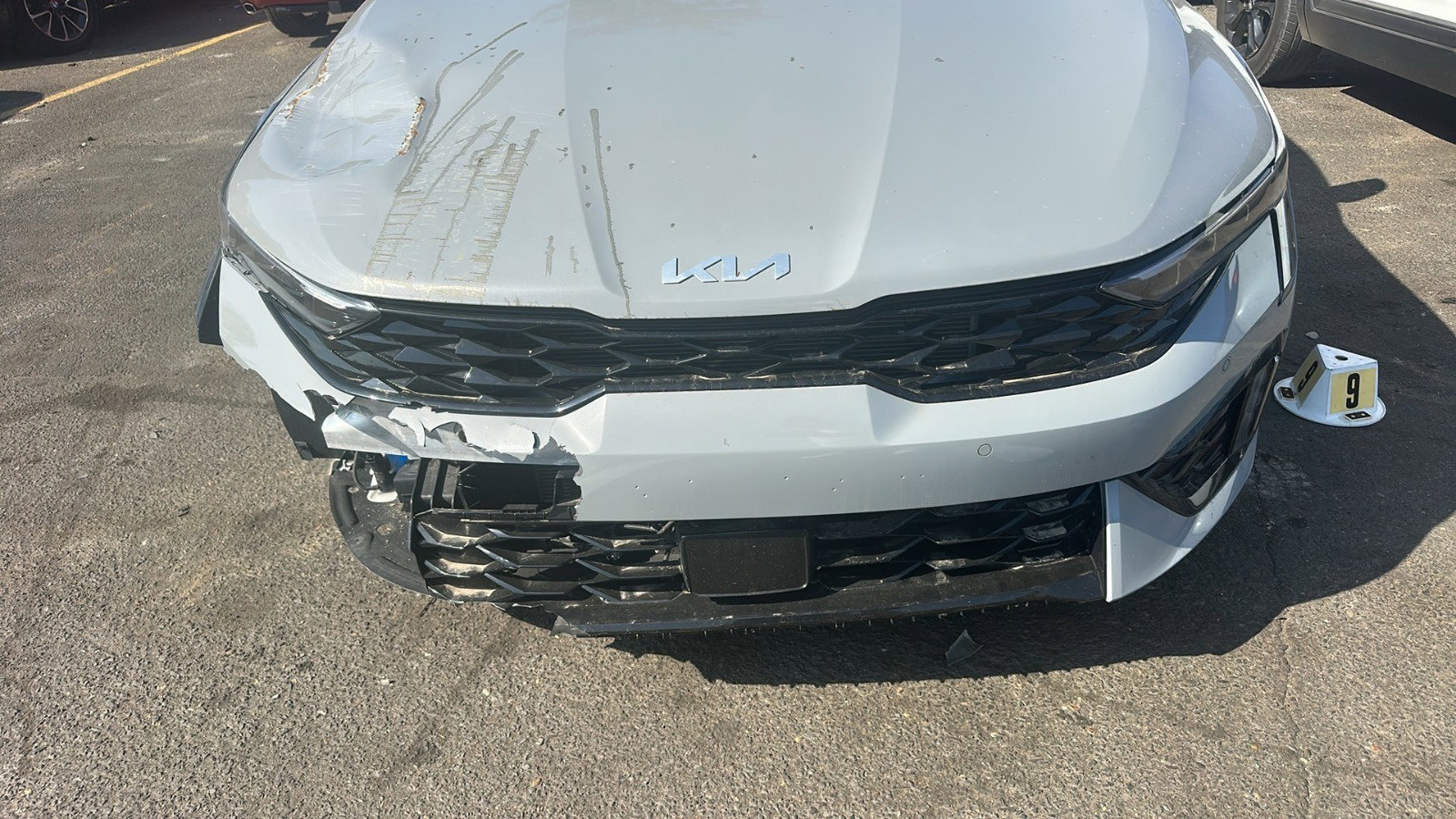 49411445