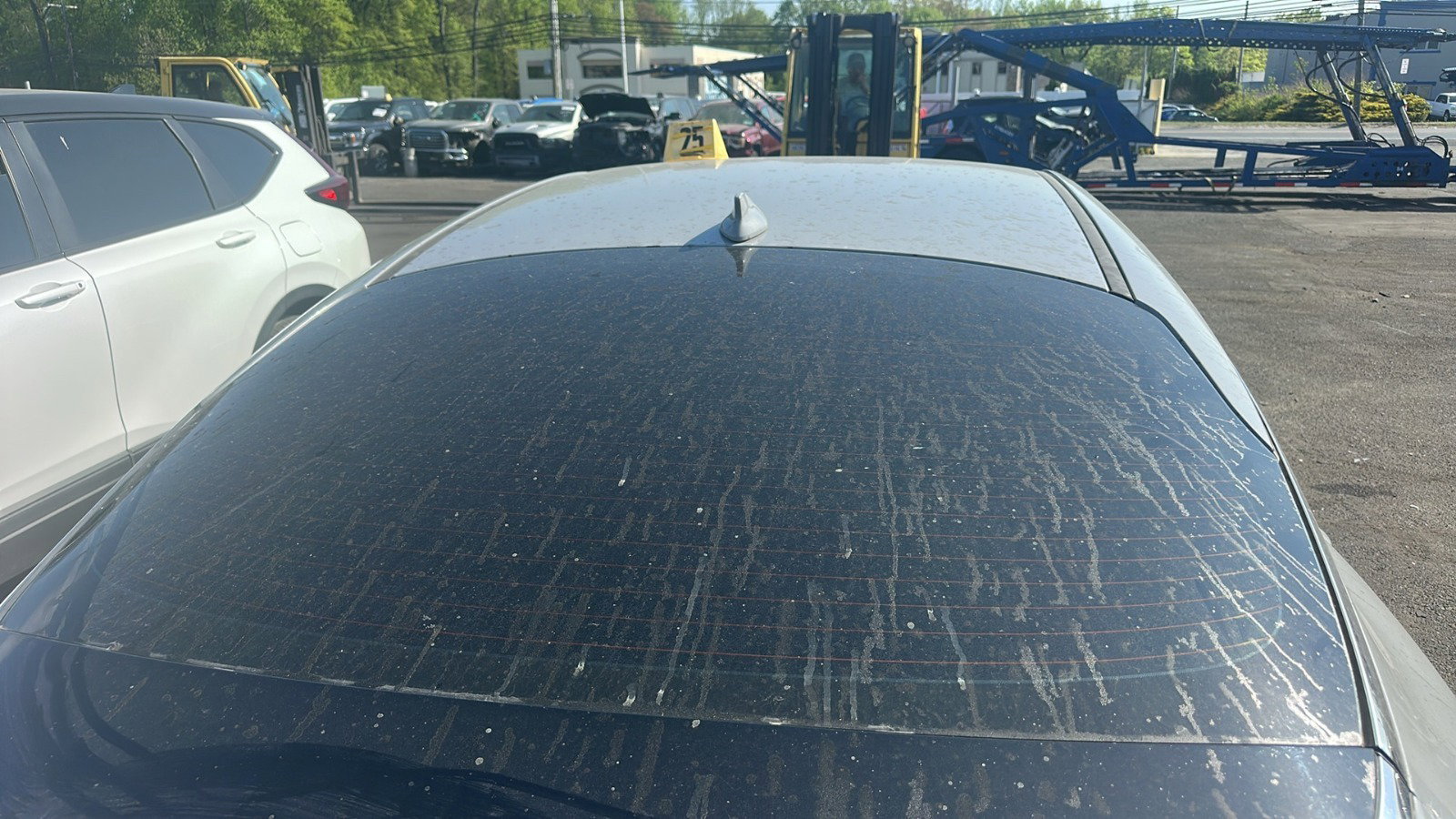 49411445