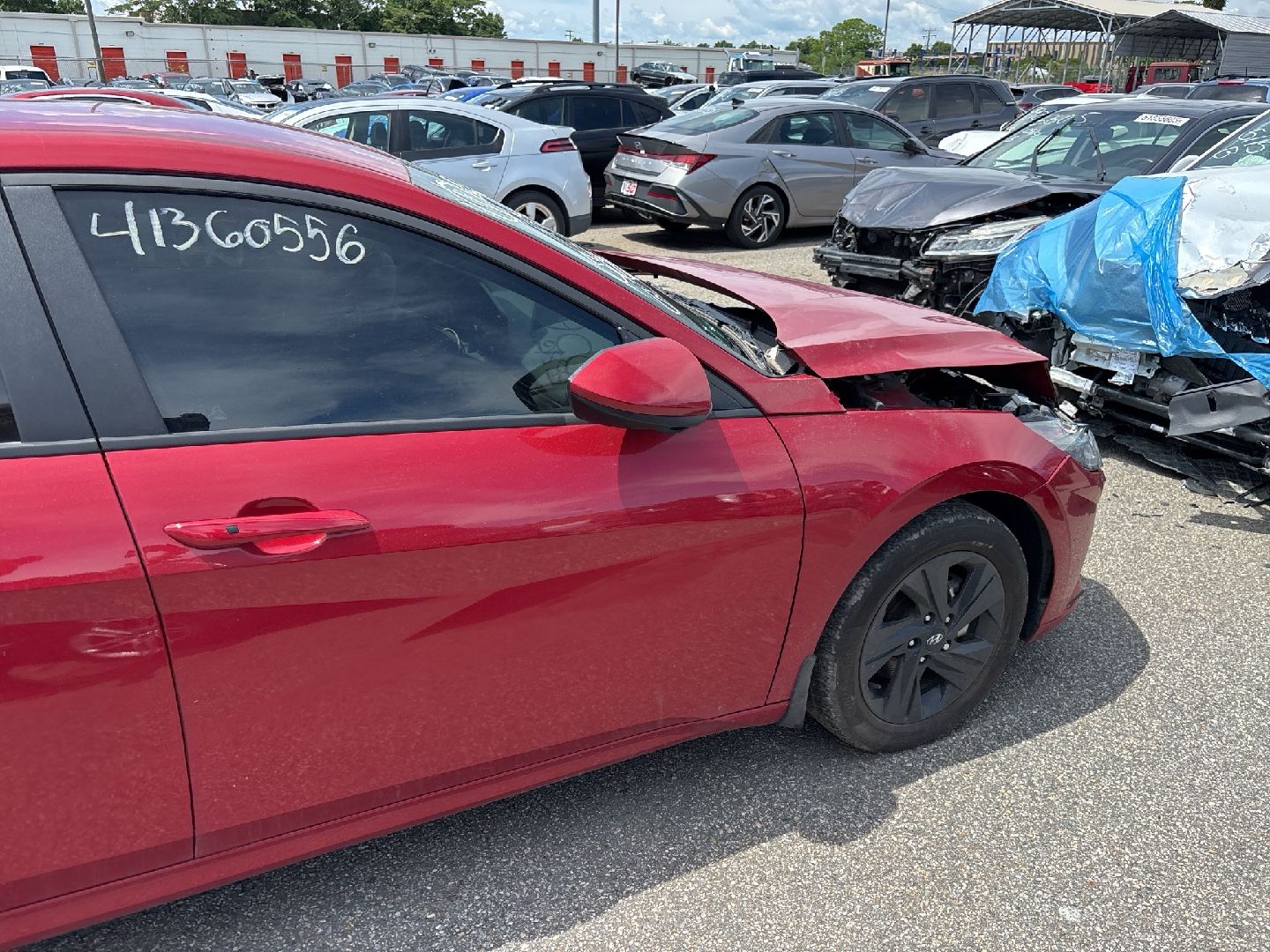 41360556