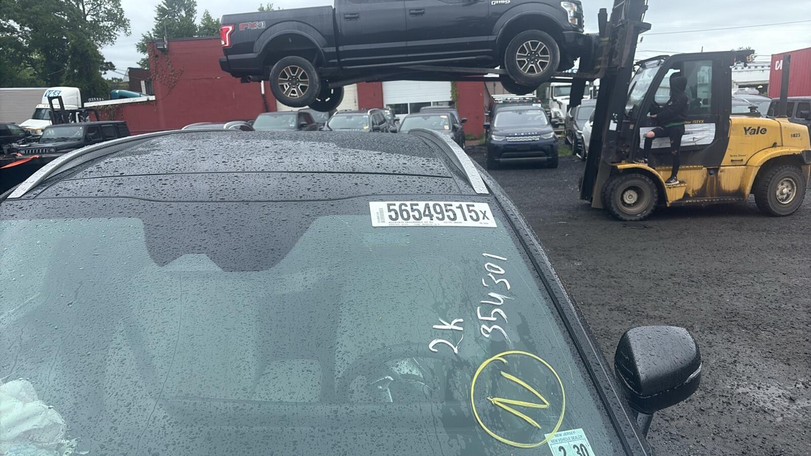 56549515