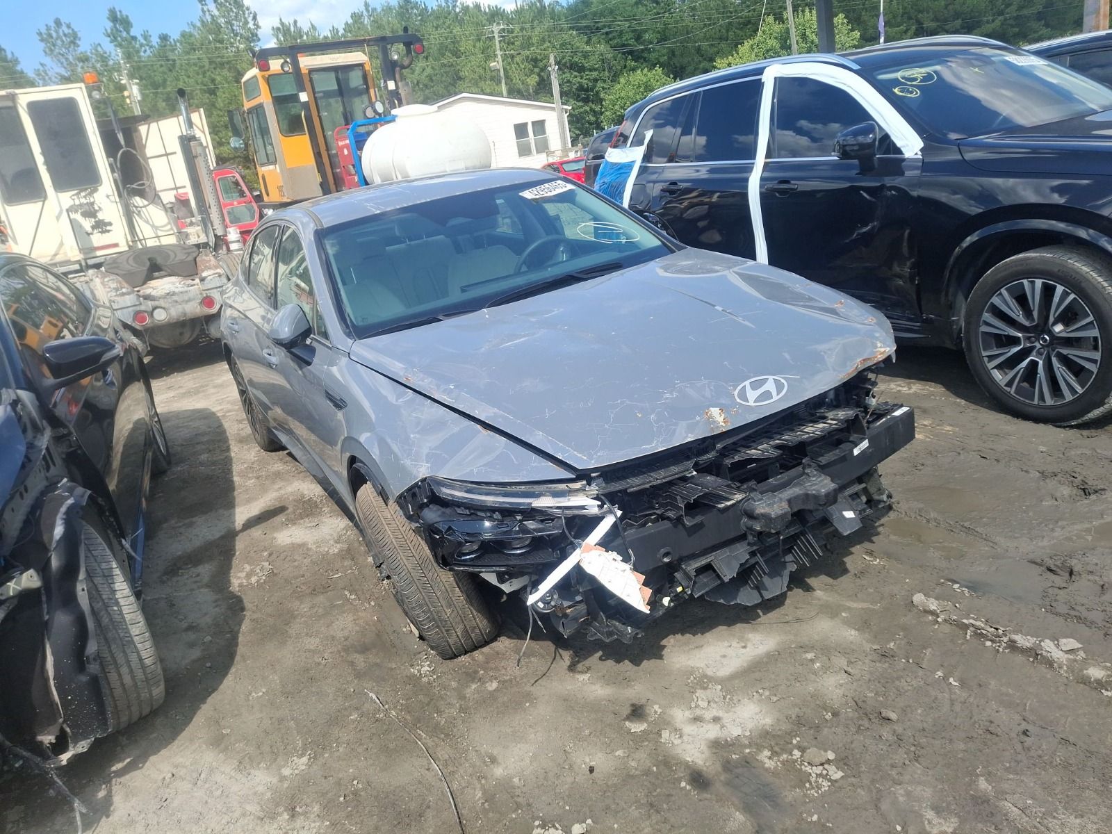 42956465