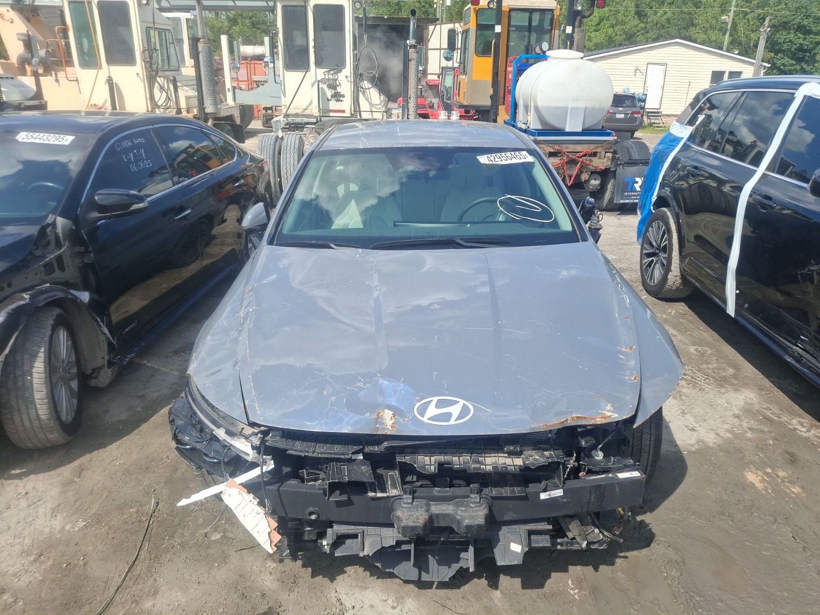 42956465