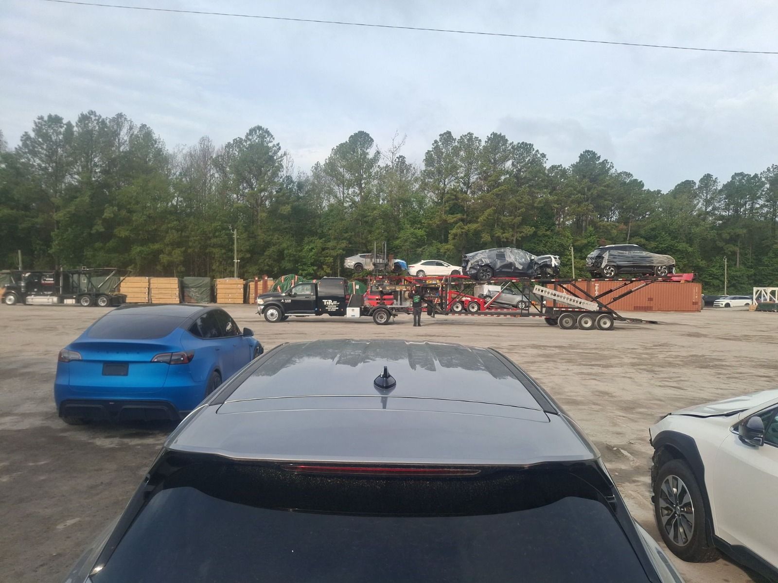 44129325