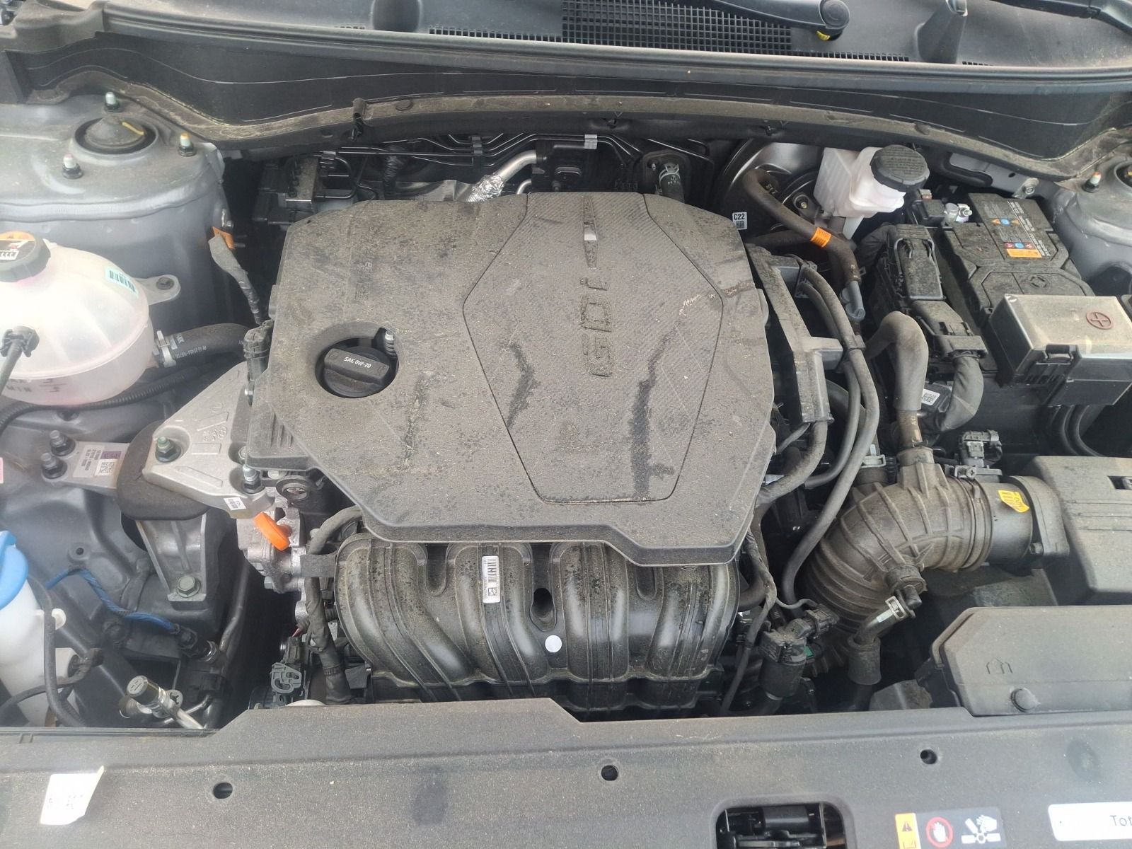 44129325
