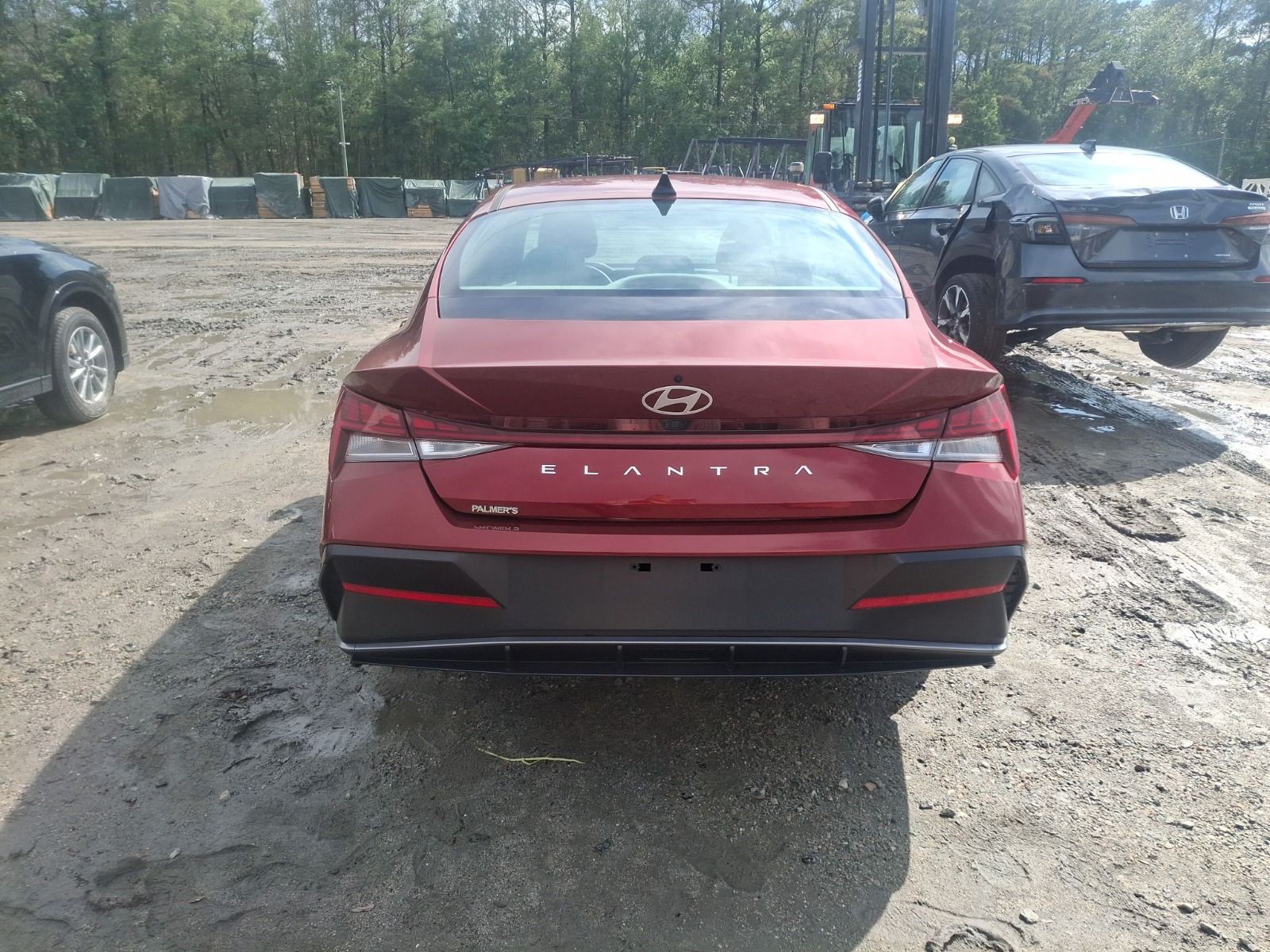 48563815
