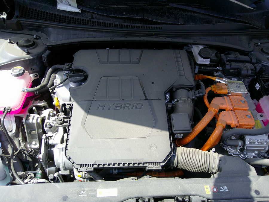 48901395