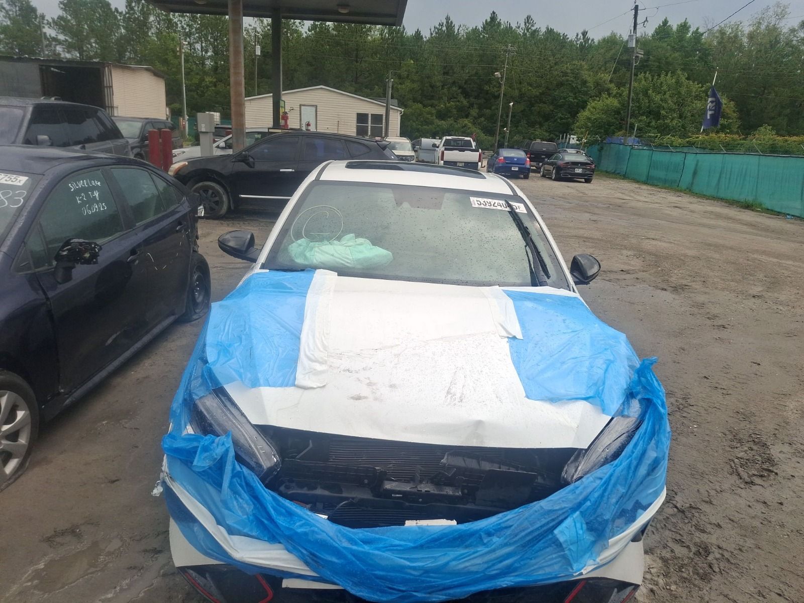 53924045