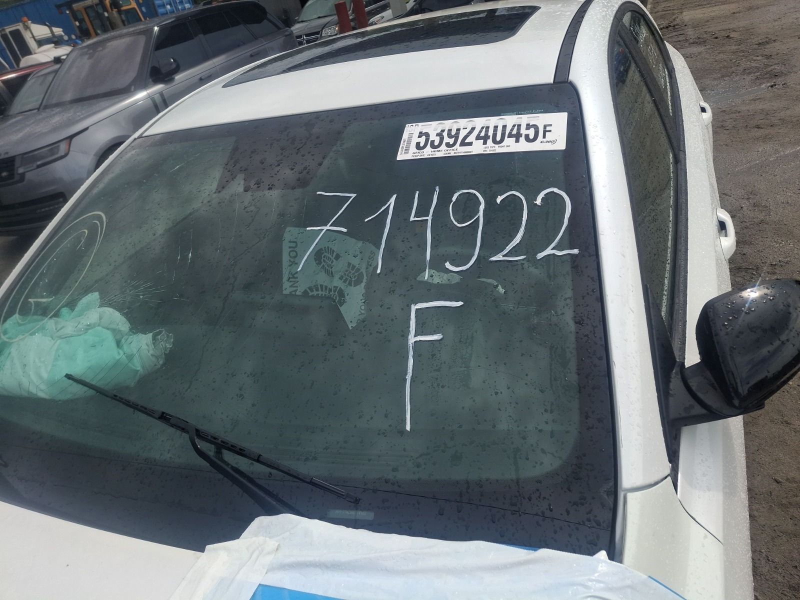 53924045