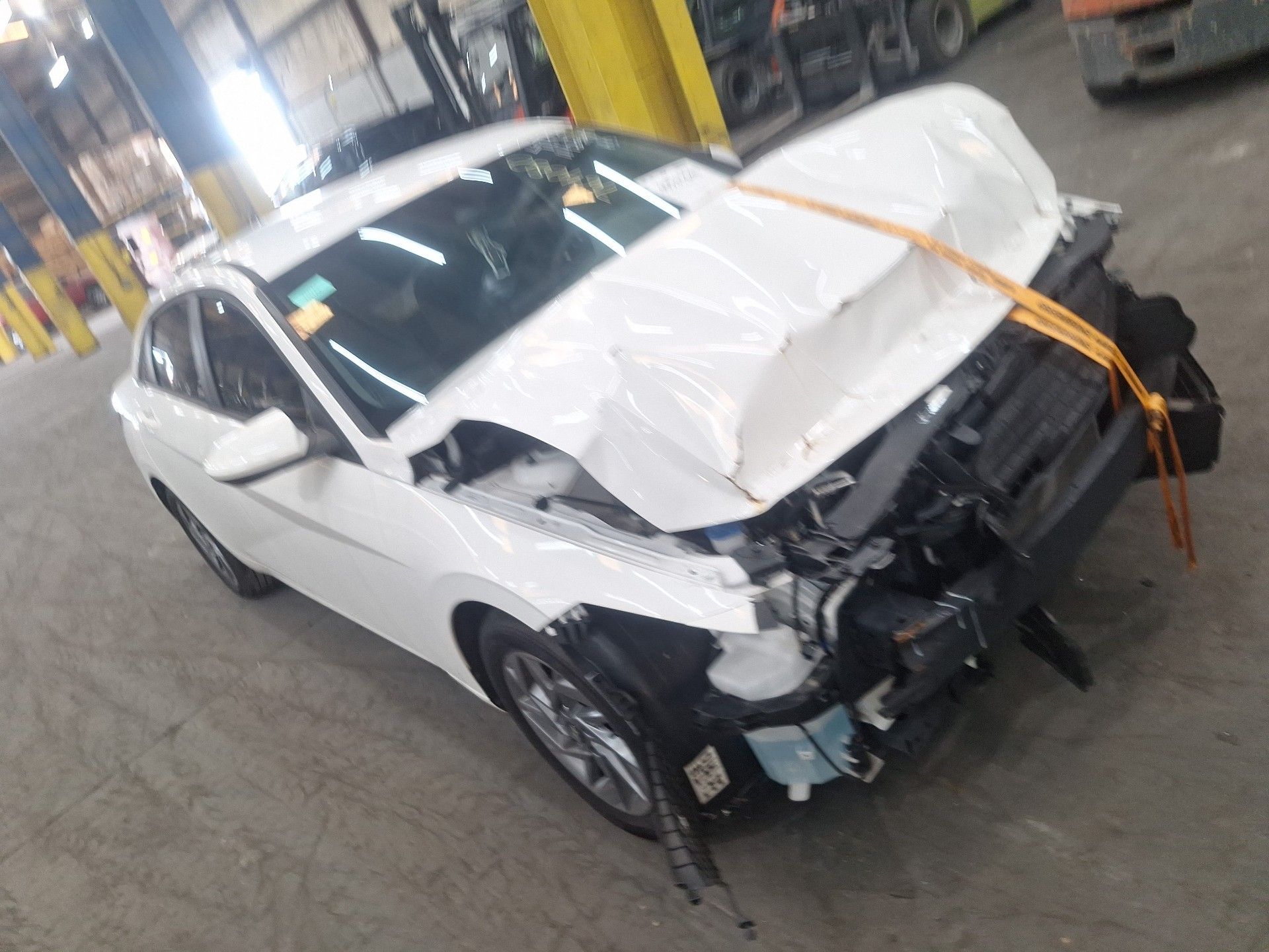 40941640