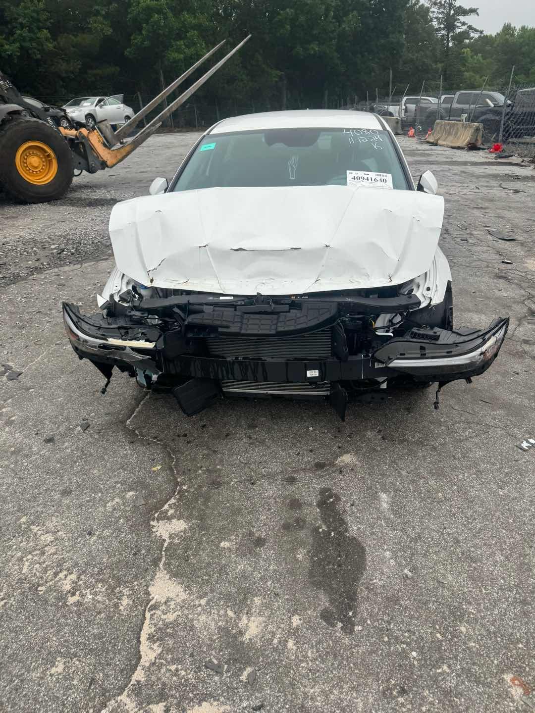40941640