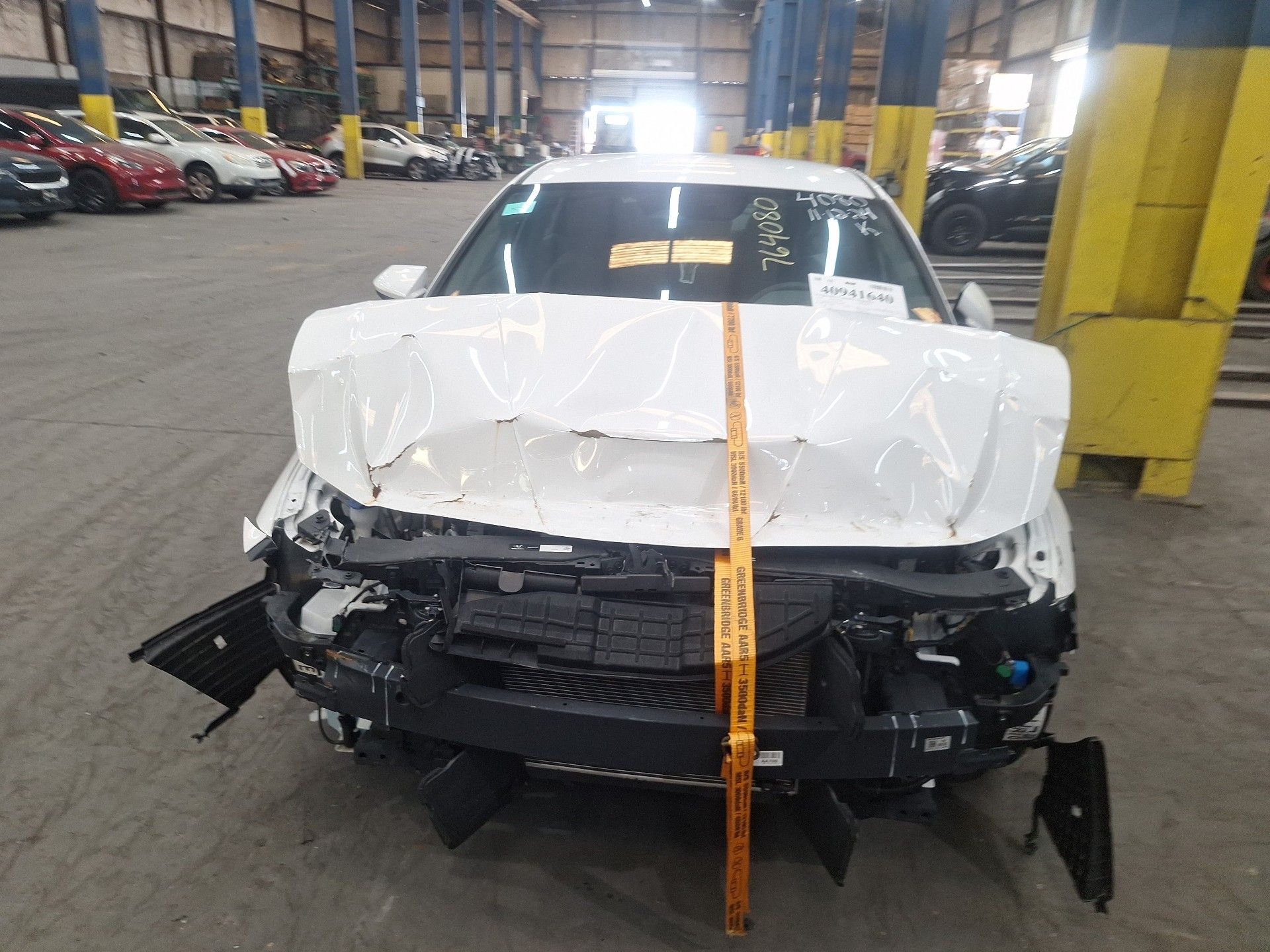 40941640