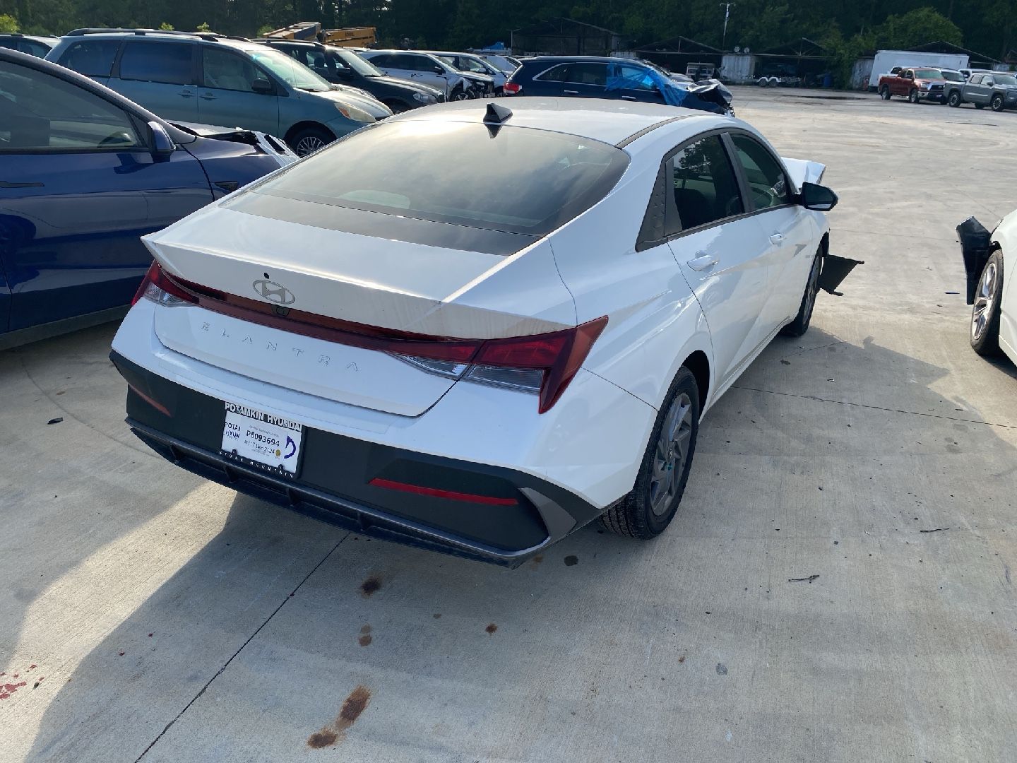 40941640