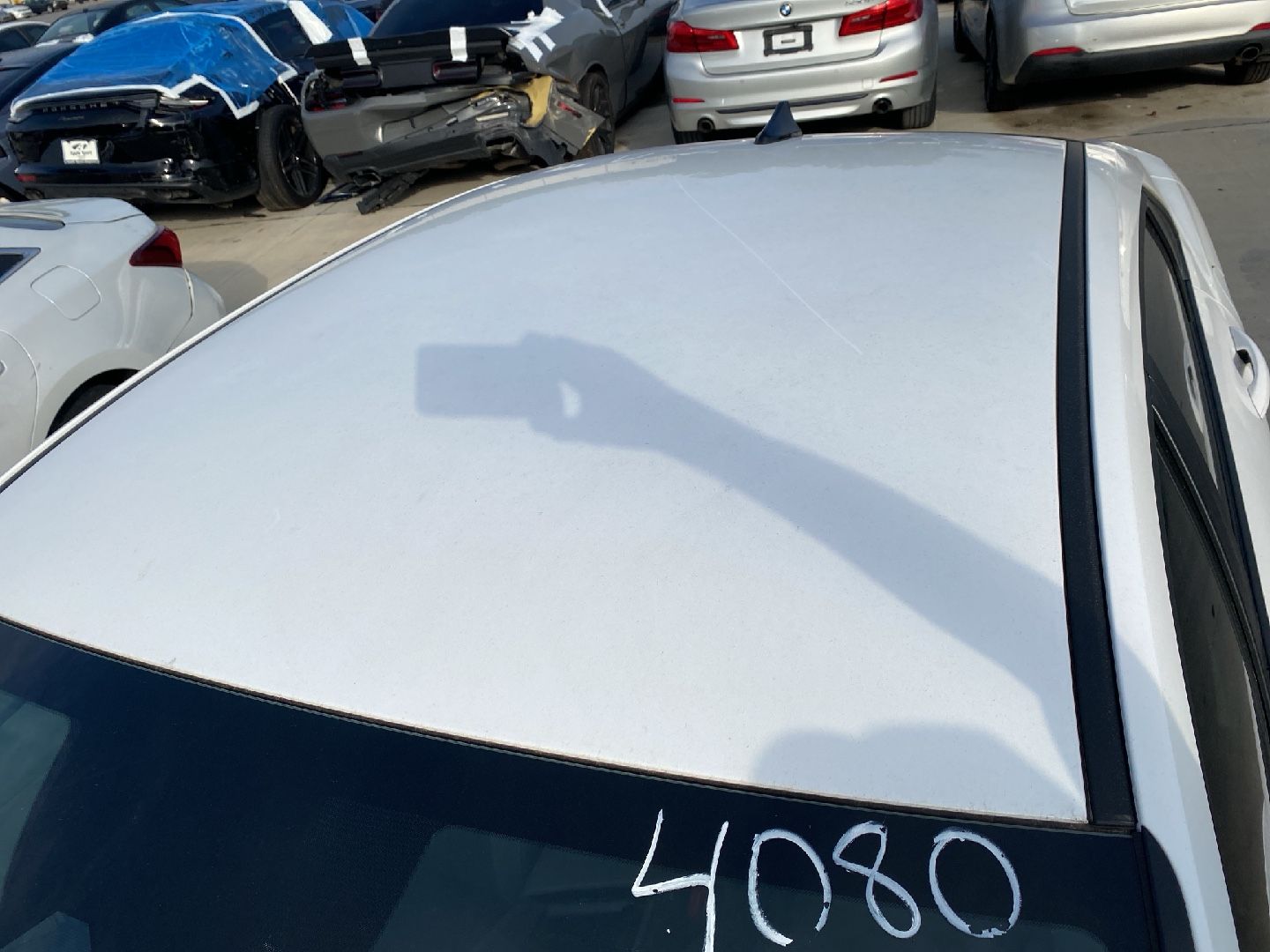 40941640