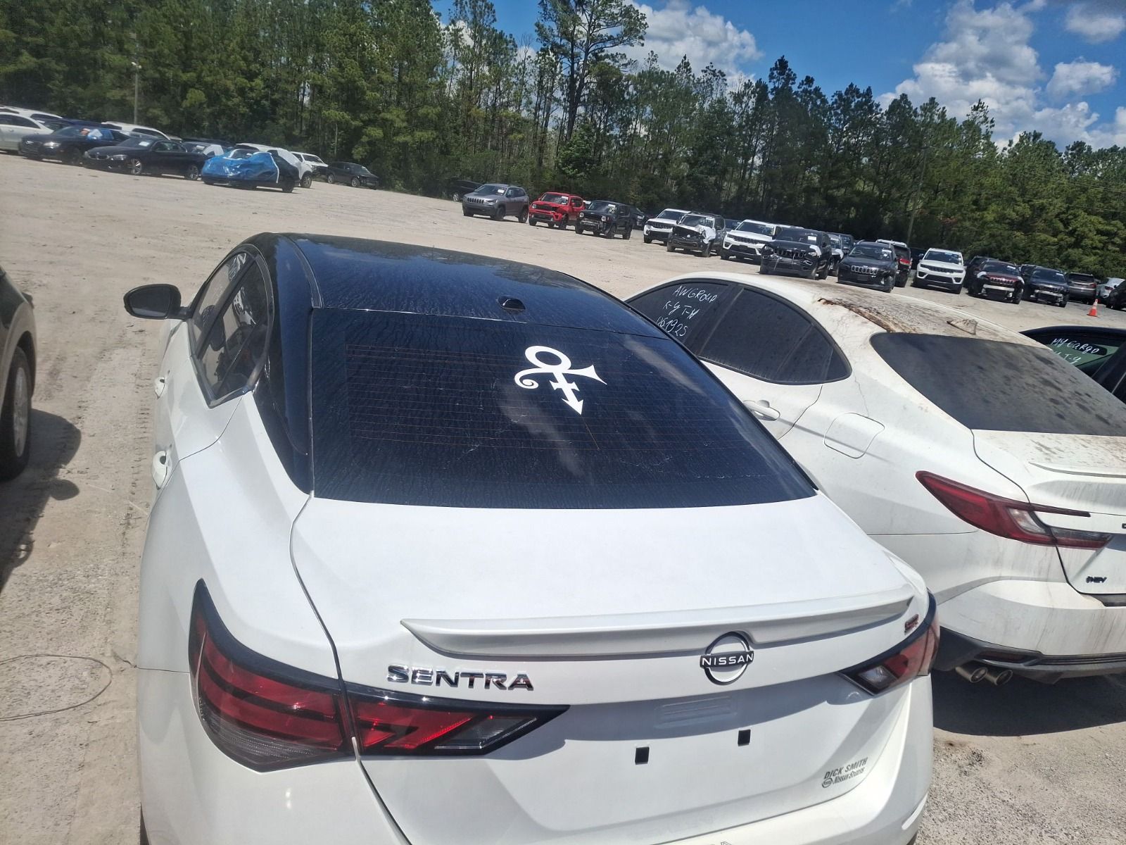 53533415