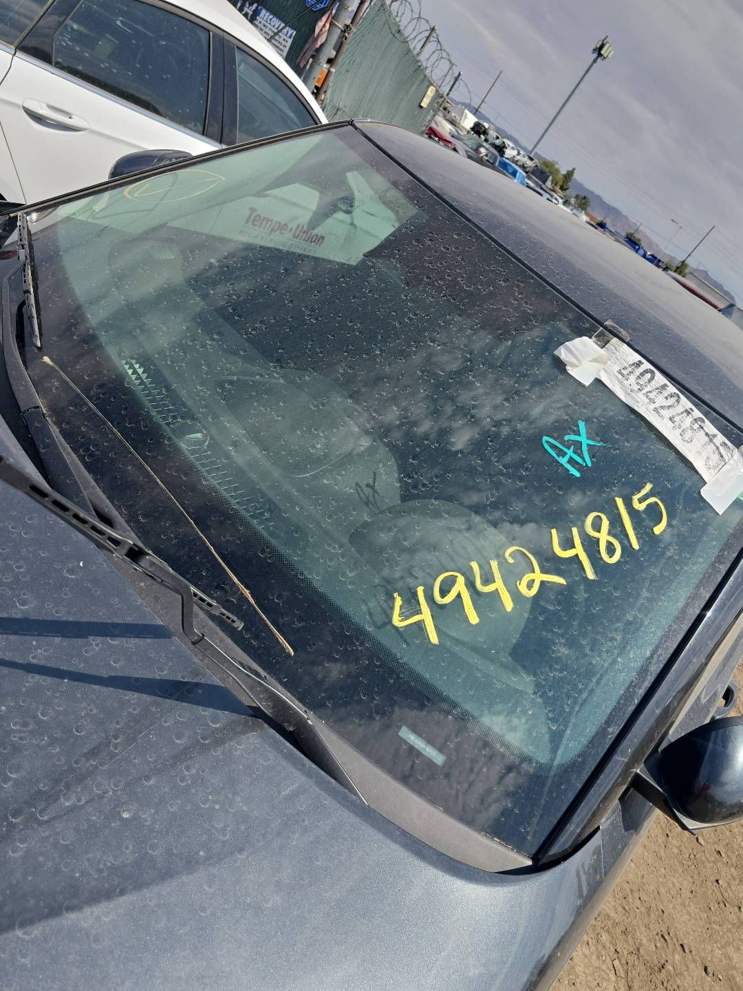 49424815