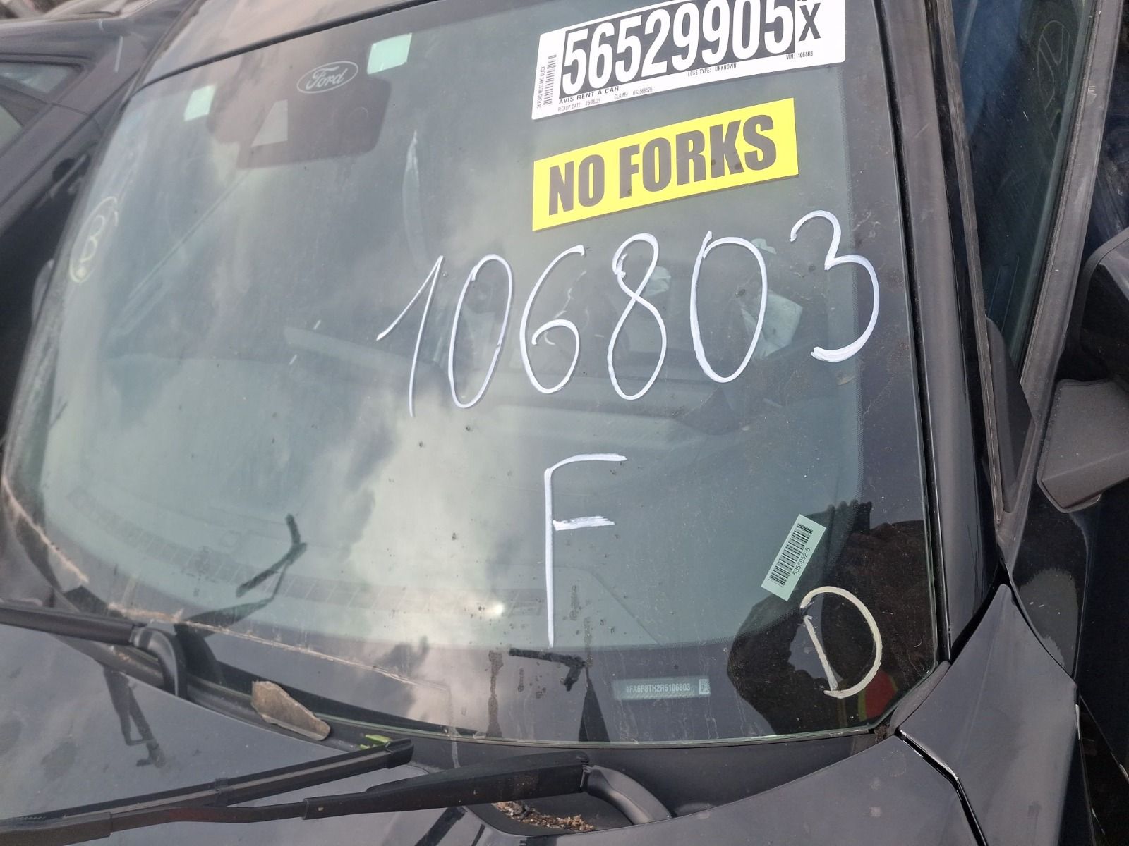 56529905