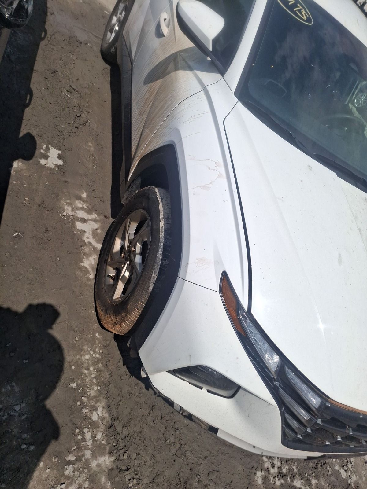 57186525