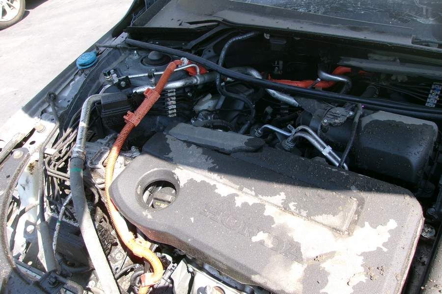 49745555