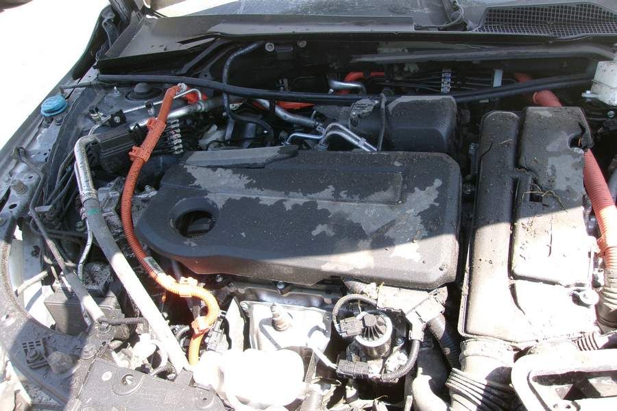 49745555