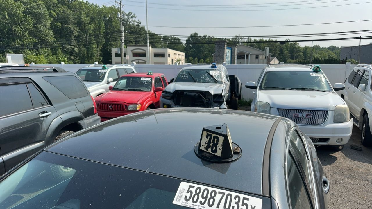 58987035