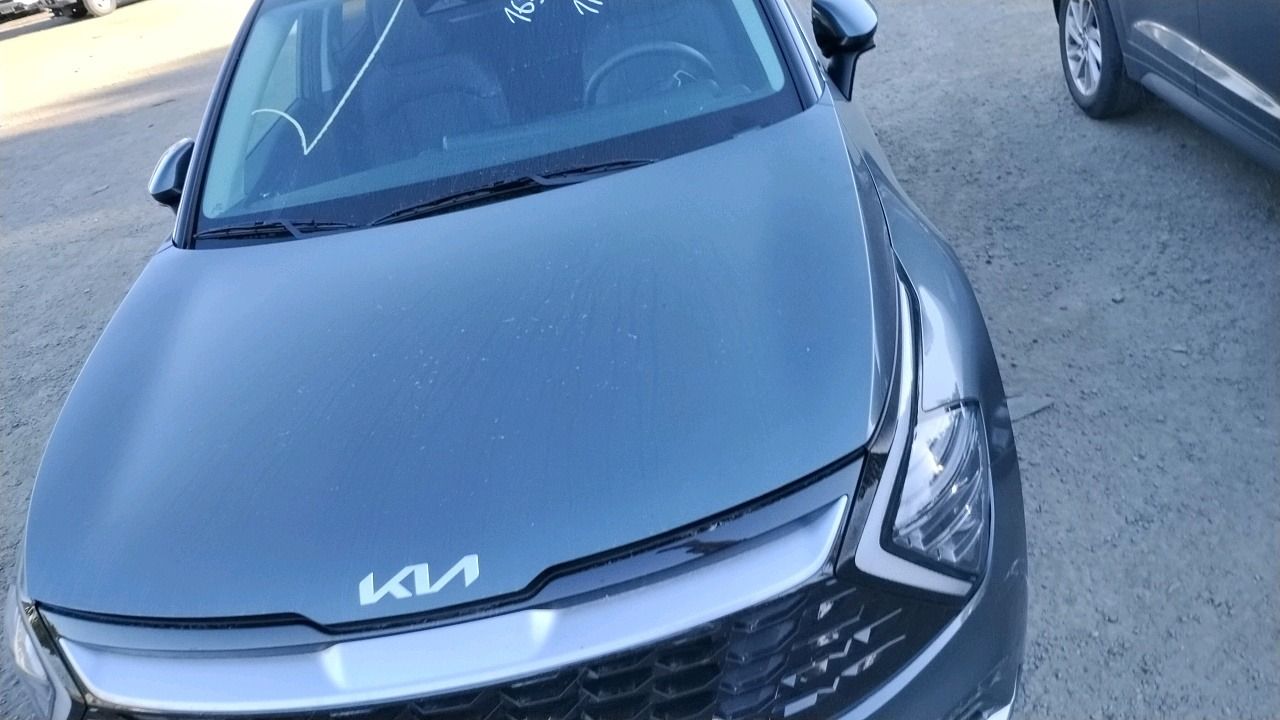 66868425