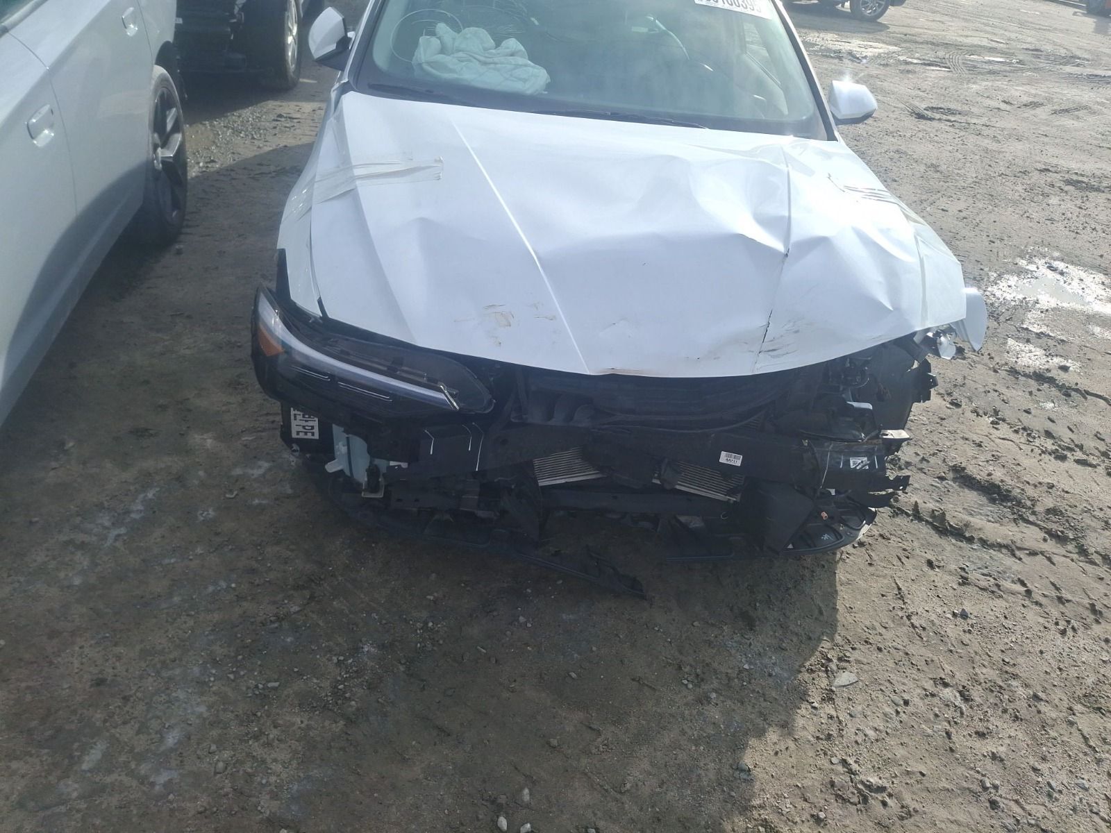 56160395