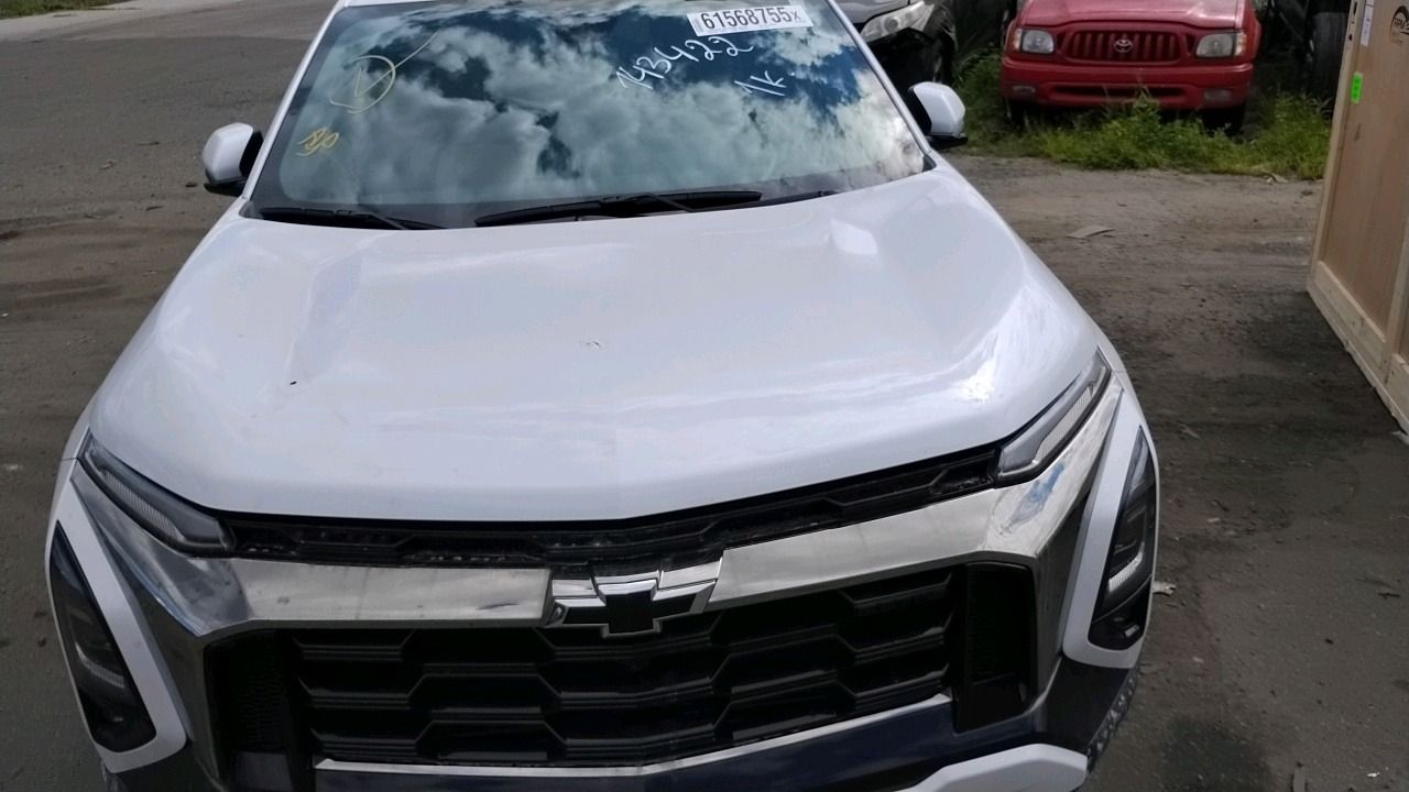 61568755