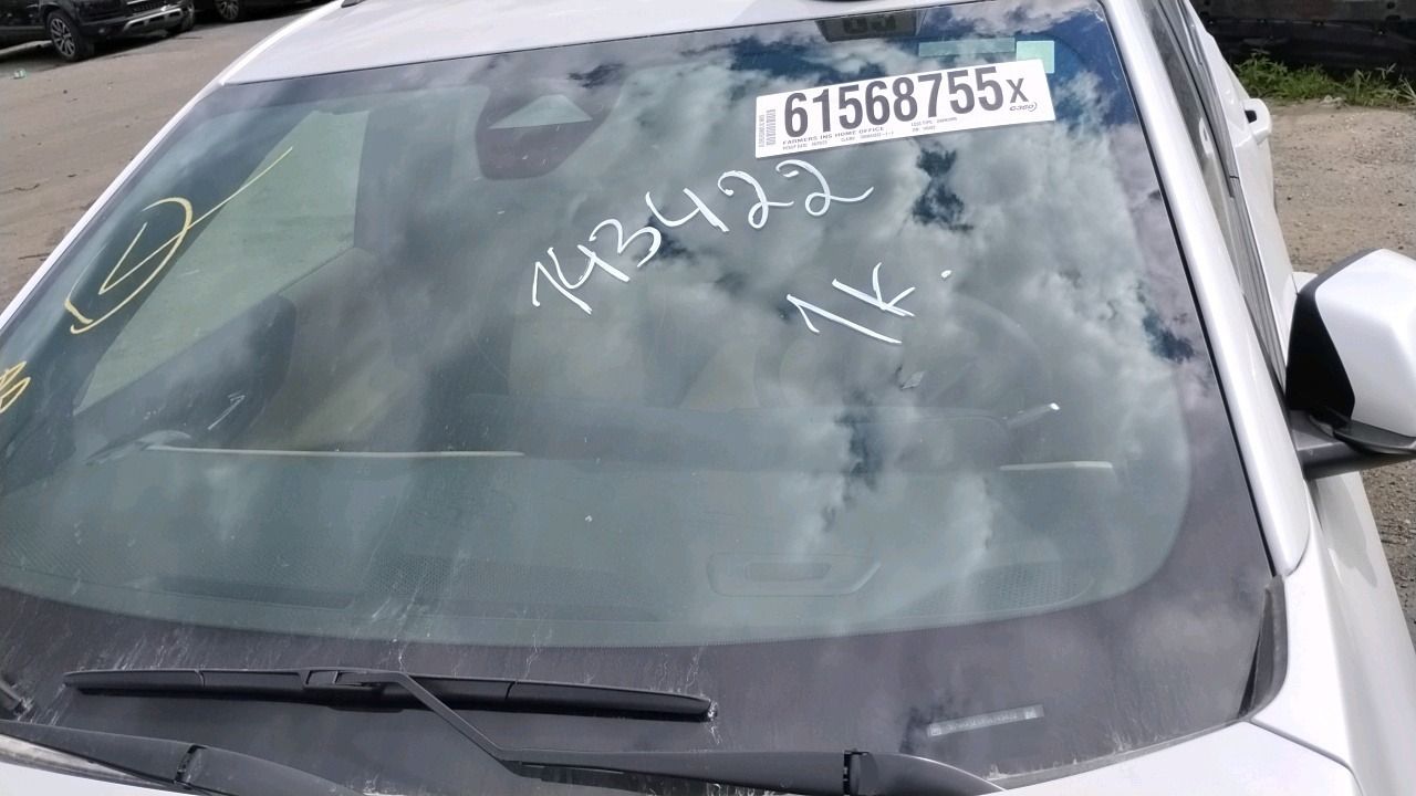 61568755