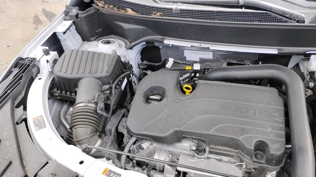 61568755