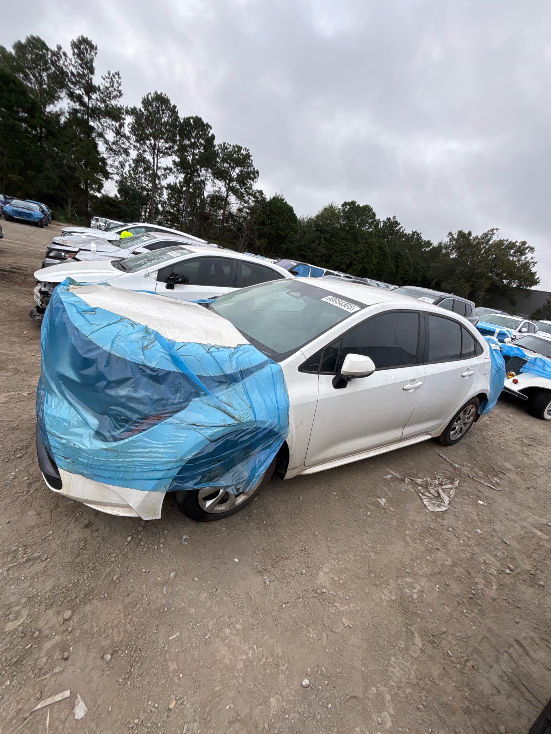 TOYOTA Corolla LE 2024