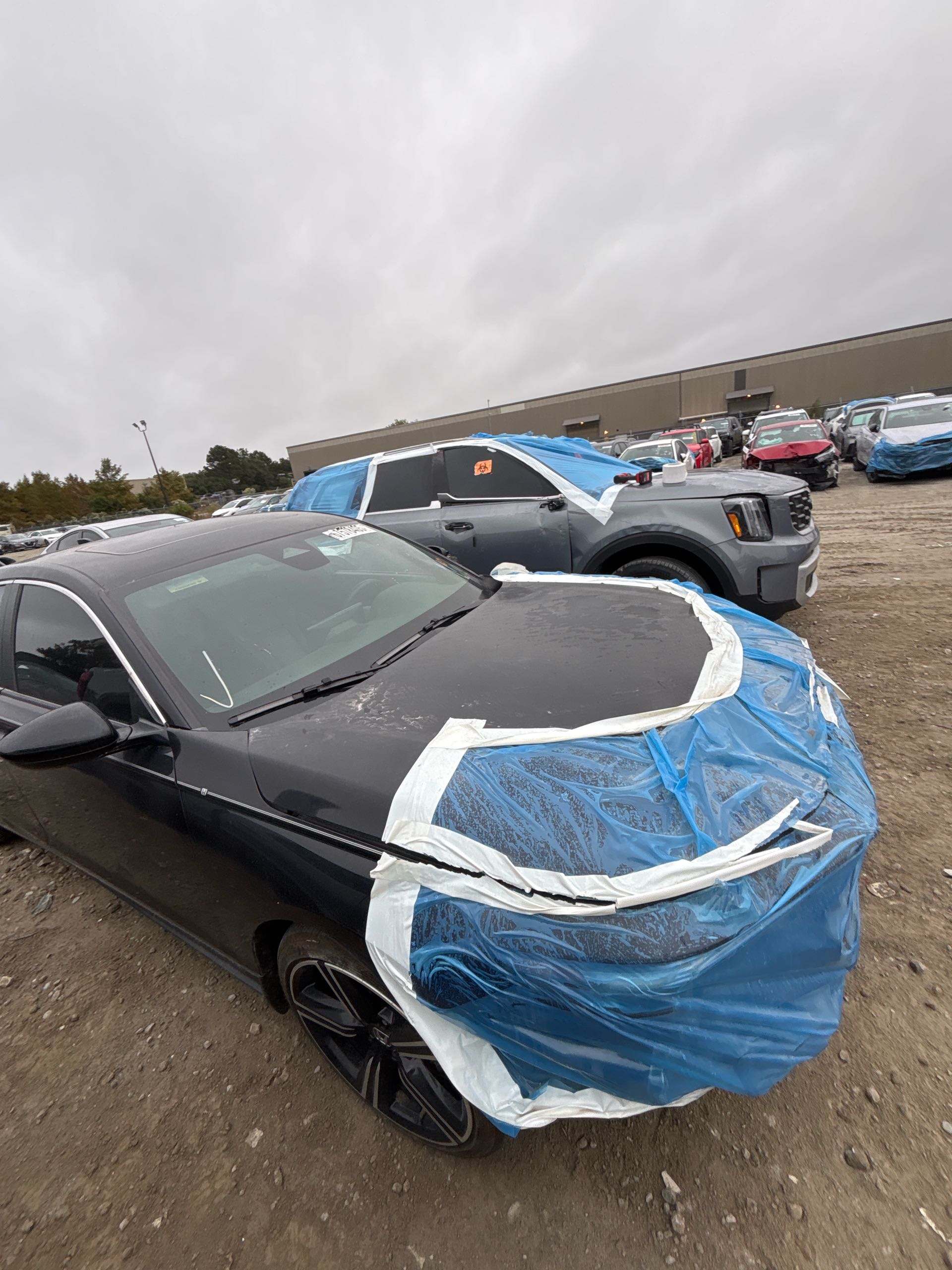 HONDA ACCORD HYBRID SPORT 2024