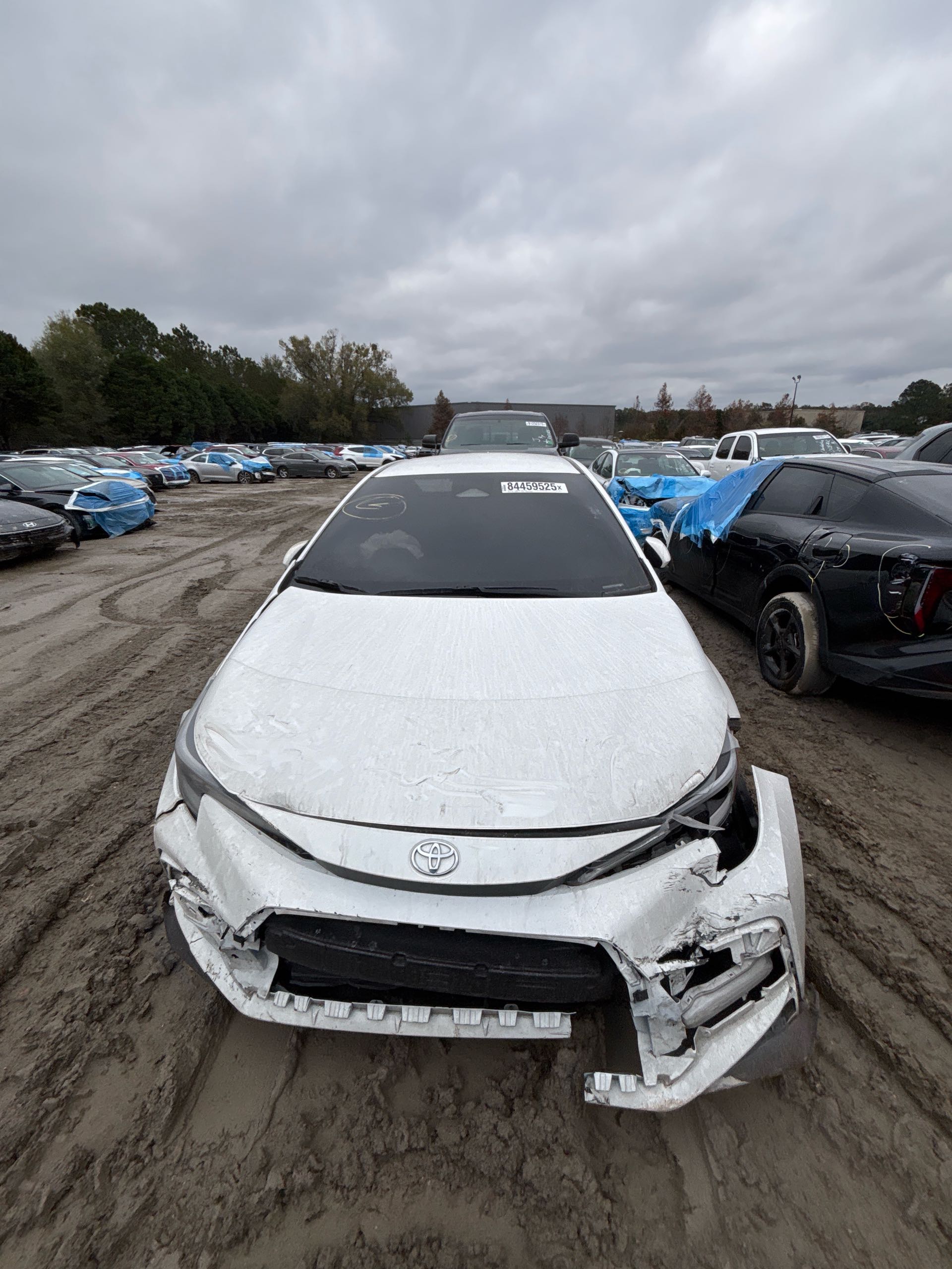 TOYOTA Corolla SE 2024