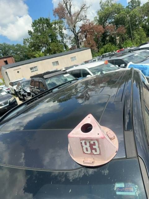 53162876