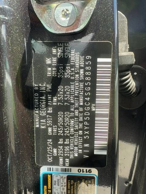 53162876
