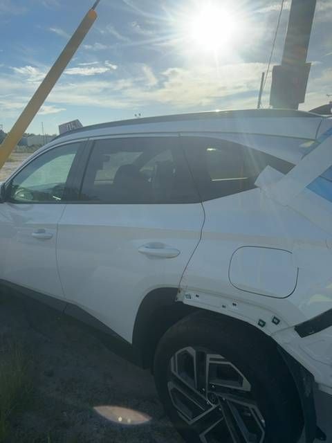 51546276