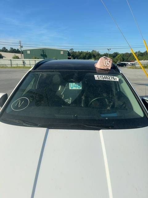 51546276