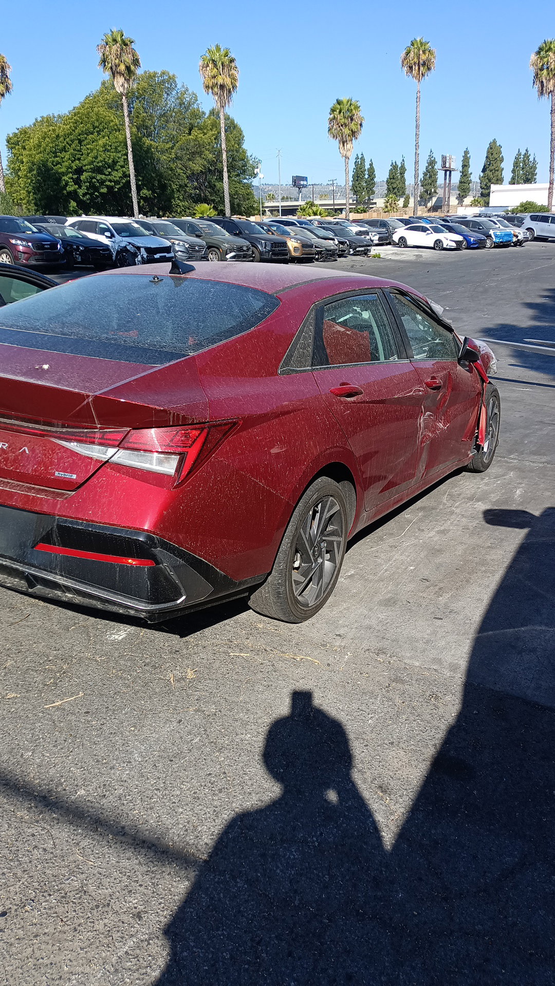 44922973