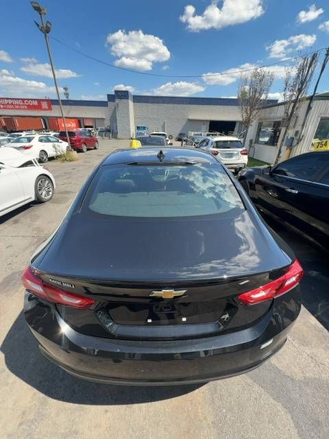 56186726