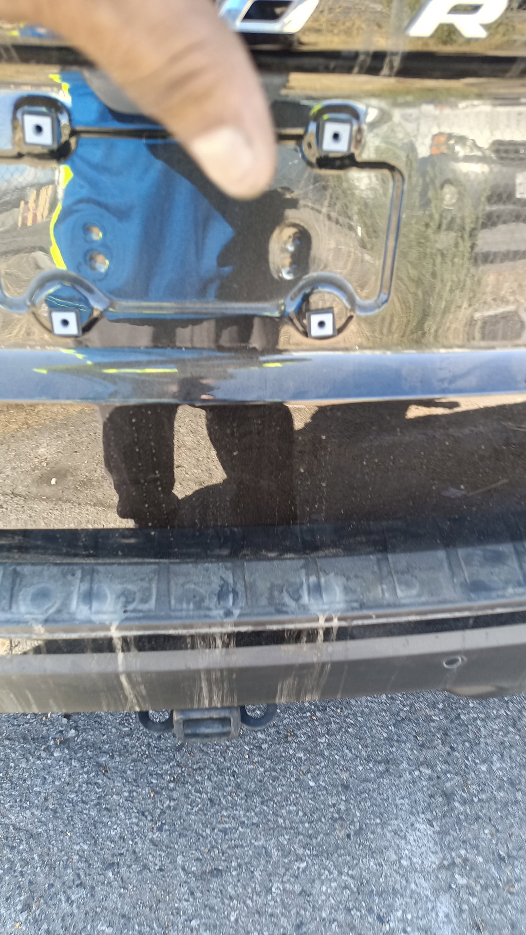 45597629