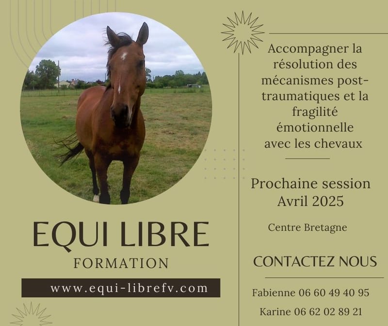 Formation de praticiens