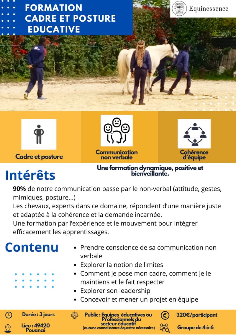 Formation cadre et posture